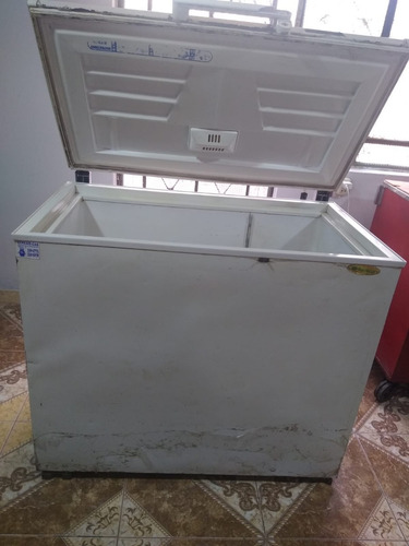 Congeladora Friolux / F-318 L