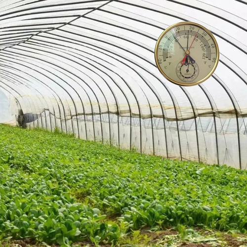 Cx Termómetro Ambiental Analógico