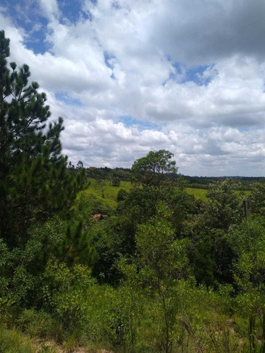 (k.a) Regiã Ode Otimo Acesso - 1.000m² - Facil Acesso