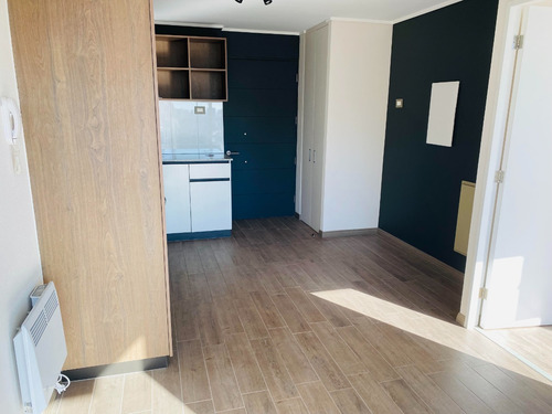 Se Arrienda Departamento En Avenida Pedro De Valdivia
