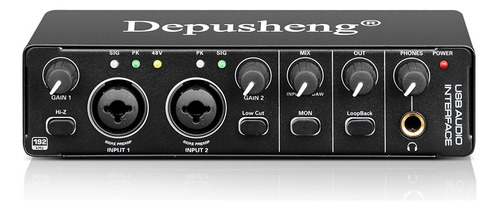 Depusheng Interfaz De Audio Usb Para Micrófono, Instrumento Color Negro
