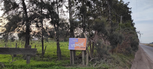 Campo En Puerto Gral San Martin