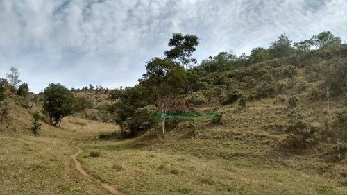 Imagem 5 de 9 de Chácara Com 2 Dormitórios, 110000 M² - Venda Por R$ 900.000,00 Ou Aluguel Por R$ 6.000,00/mês - Chácaras Condomínio Recanto Pássaros Ii - Jacareí/sp - Ch0615