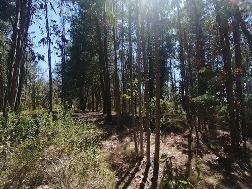 Condominio Vista Tunquen, Primera Etapa, Parcelas De Agrado.