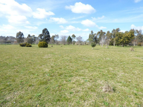 Imagen 3 de 30 de Quinta En Arturo Segui Calle 403 E/ 139 Y 141 La Catalina Dacal Bienes Raices
