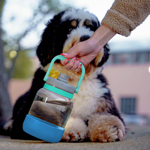 Botella De Agua 2 En 1 Y Cuenco Para Mascotas Barkley Asobu Color Azul