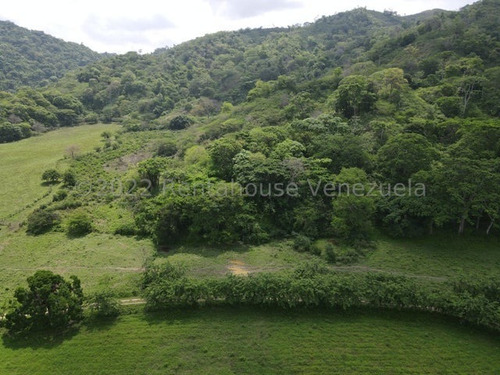 Imagen 4 de 30 de Finca En Venta San Felipe 1500 Ha, #23-14481