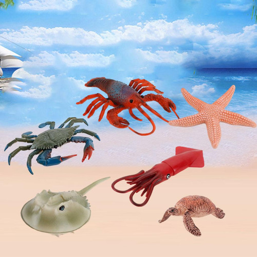 Colección De Regalos De Cumpleaños De Marine Life Animal