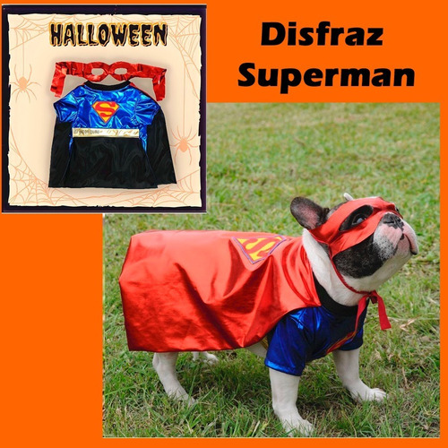 Disfraz De Superman Para Perros, Mascotas, Disfraz Halloween