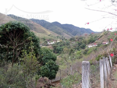 Imagem 14 de 15 de Casa Em Fragoso - Miguel Pereira - 1147