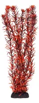 Comprar Tesoros Submarinos Rotala Indica 16