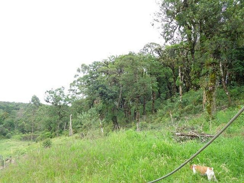 Imagem 7 de 14 de Cód 3023 - Lindo Sitio Para Quem Busca Tranquilidade. - 3023