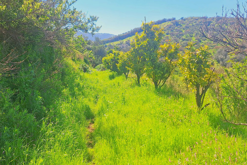 Terrenos Con Espectaculares Vistas En Rauten (118383)