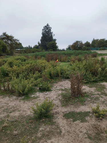 Parcela En Venta Cercana Al Lago Rapel- Oportunidad