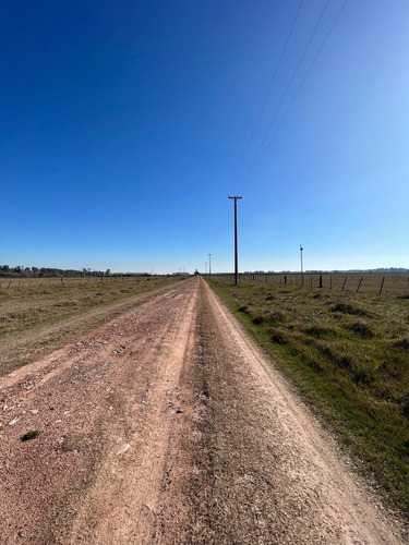 Imagen 7 de 7 de Venta - Fracción Ruta 47 - Luján