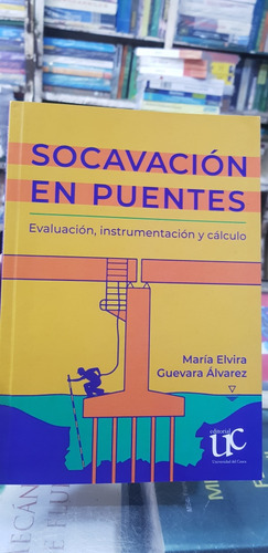 Libro Socavación En Puentes 