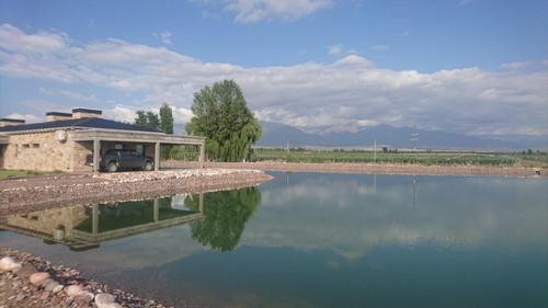 Terreno En Venta Viñedo 28 Has En Mendoza