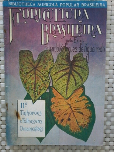 Antiga Revista Floricultura Brasileira No  11