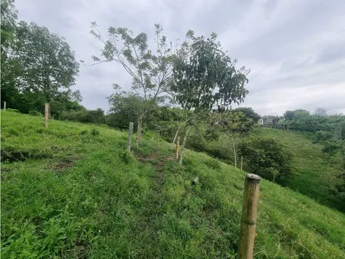 Finca Para La Venta Entre Quimbaya Y Filandia Con Excelenteubicación