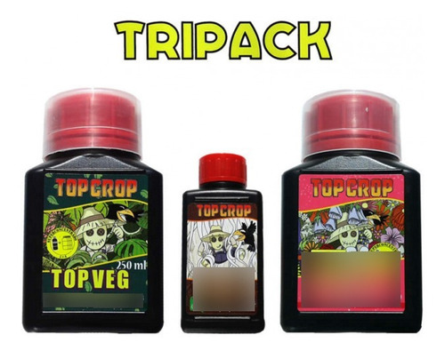 Tripack Top Crop 