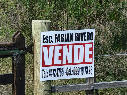 Vendo Terreno Rocha Ciudad Sobre Ruta 9 Con Gran Potencial 