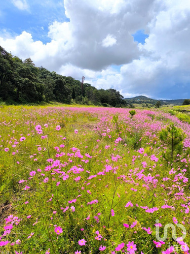 Venta Terreno 0 Ambiente San Pedro Tenango