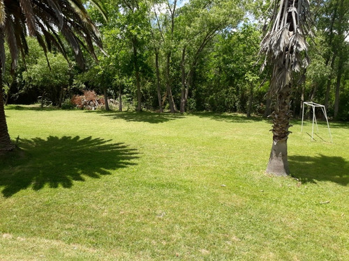 Imagen 2 de 8 de Venta Quinta 4000 M2 Sobre Avenida Dique Lujan Tigre ( Rebajada 20% )