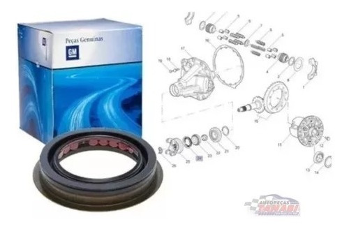 Reten Piñon Diferencial Trasero Trailblazer S10 2012/