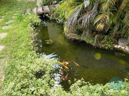 Imagem 2 de 15 de Cod-10846 Casa Com 4 Quartos Em Ponta Negra - V-10846
