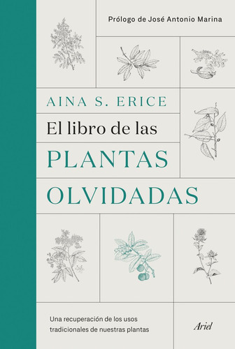 Libro El Libro De Las Plantas Olvidadas