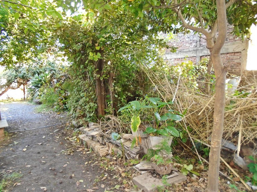 Venta Lote En Carapachay