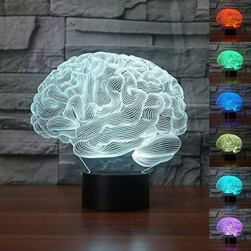 Candeeiro De Mesa Cerebelar 3d Com Cérebro Humano Modelo 7
