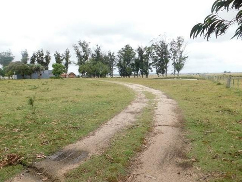 Imagen 3 de 15 de Quinta En Venta En Maldonado