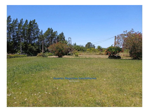 Imagen 19 de 22 de Js: Venta Excelente Chacra Abayuba Cw189854