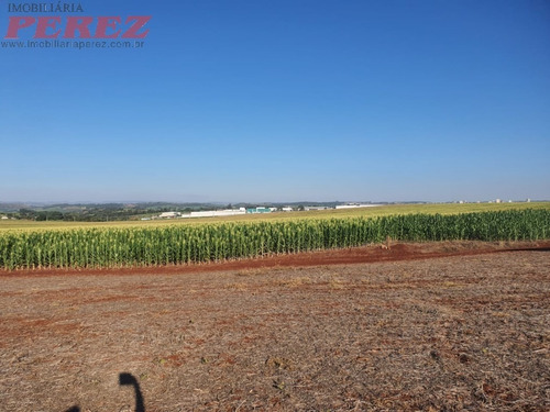 Imagem 6 de 24 de Chácaras_sítios_fazendas Para Venda - 13650.8047