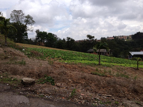 Imagen 6 de 13 de Se Vende Terreno 66.280m² El Retiro San Antonio De Los Altos