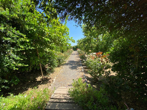 Parcela Con Casa , Depto, Arboles Frutales, Invernadero
