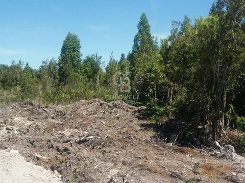 Parcela De 5000 M² Camino Ensenada