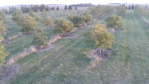 Imagen 3 de 26 de Terreno - Punta Indio