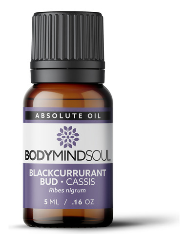 Óleo Absoluto Cassis 5ml - Blackcurrant Bud - Bms