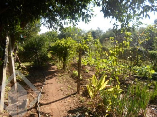 Imagem 4 de 9 de Chacara/fazenda/sitio - Olaria - Ref: 93176 - V-93176