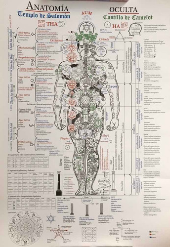Poster Anatomia Oculta