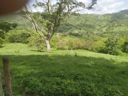 Finca De 25 Hec A 15 Minutos De Luruaco
