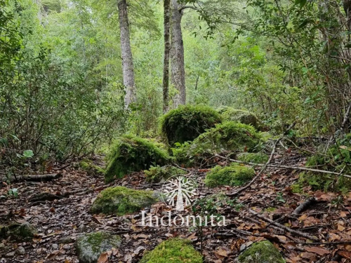 Campo En Venta 600 Hás De Río En Con Río Yelcho, Chaitén