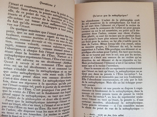Questions 1 Martin Heidegger Gallimard