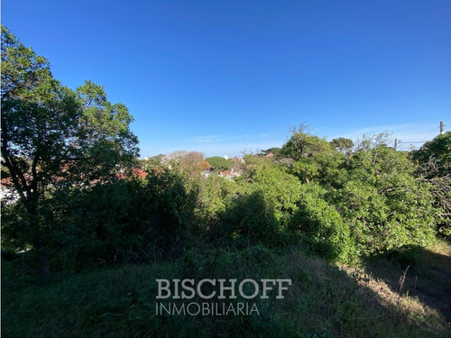Venta De Lote En Ostende Calle Moreno