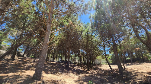 Imagen 19 de 21 de Venta Lote Maritimo Iii - Costa Esmeralda