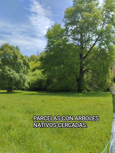 Parcela Con Orilla De Río Sector Catripulli Pucón