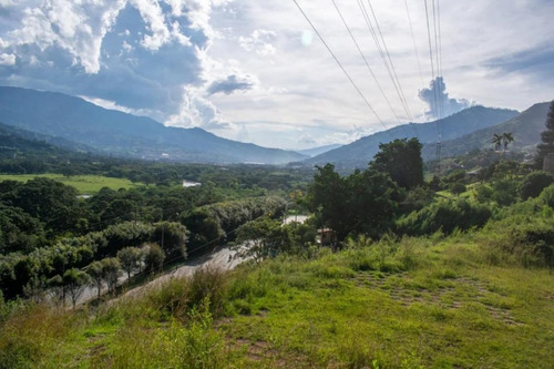 Imagen 3 de 5 de Lote En Venta En Barbosa Vereda El Hatillo. Cod 2144409