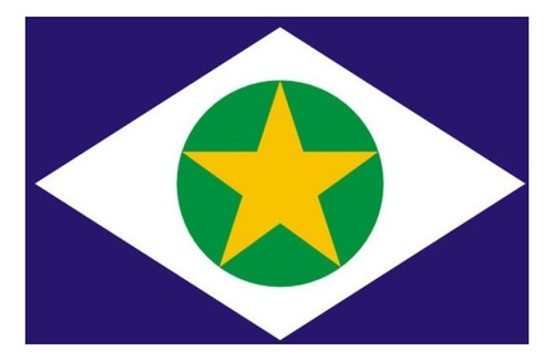 Bandeira Mato Grosso Oficial Bordada 2 Panos Alta Qualidade